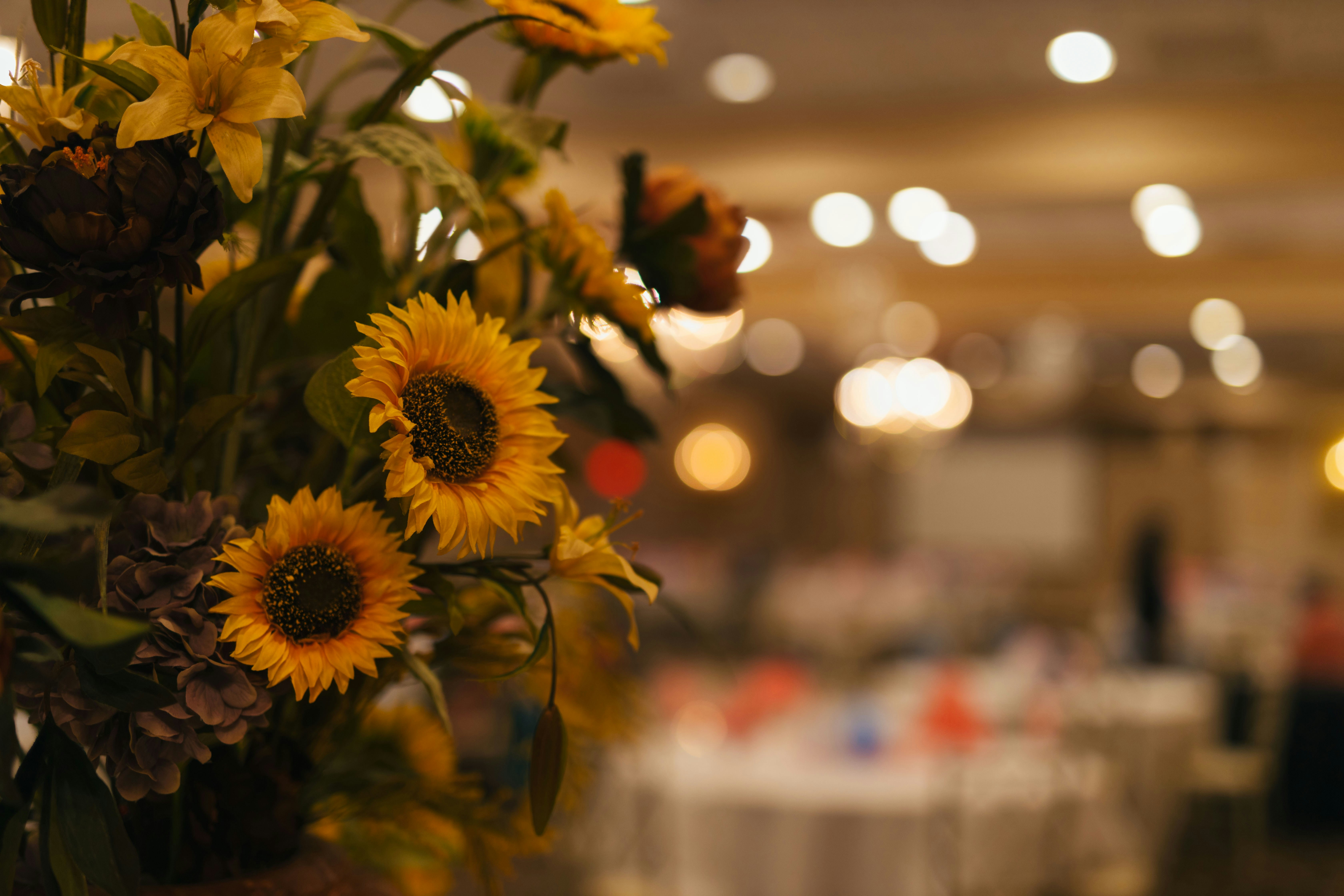 happy films pMoBN3F3Hj0 unsplash image on Boost ROI with Strategic Calgary Corporate Event Flowers in 2025