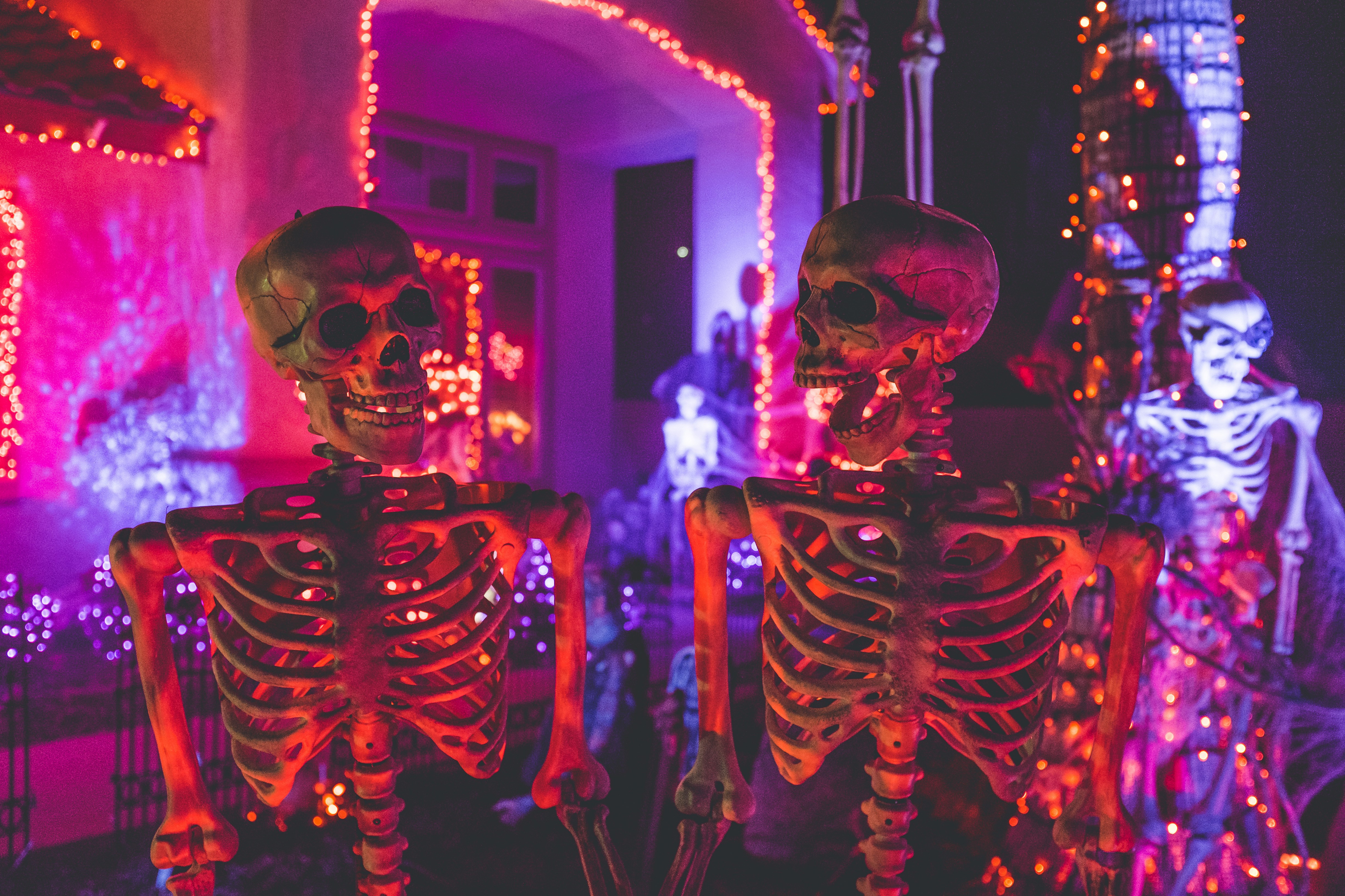 kenny eliason A59lWOrZVnw unsplash image on Hosting a Sophisticated Halloween Soirée: A Calgary Event Guide (2025)