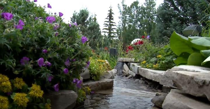 Jan Garden 3 image on Venues